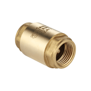 Check valve