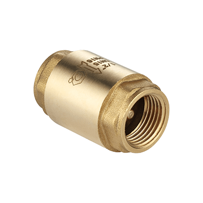 Check valve