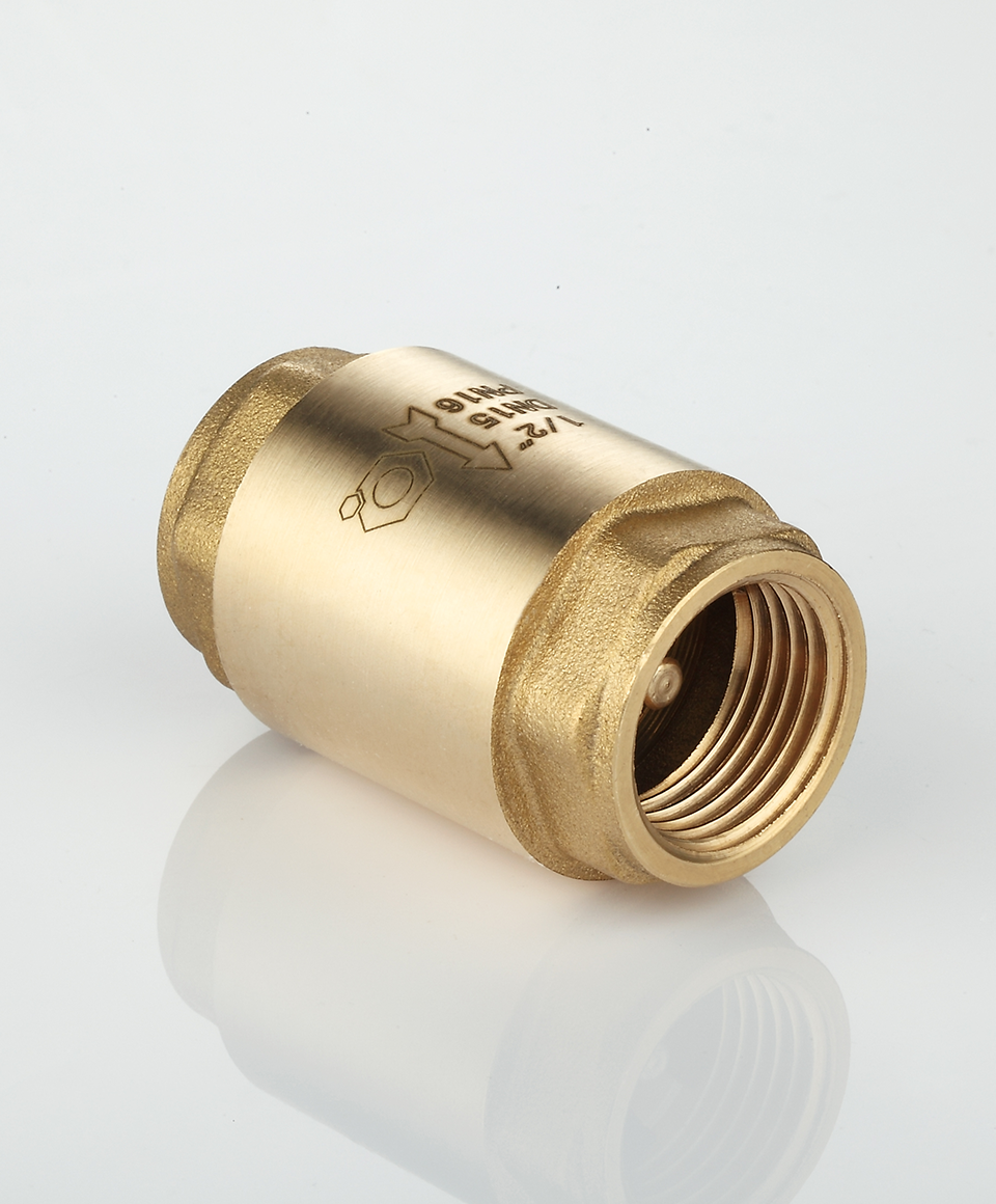 Check valve