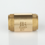 Check valve