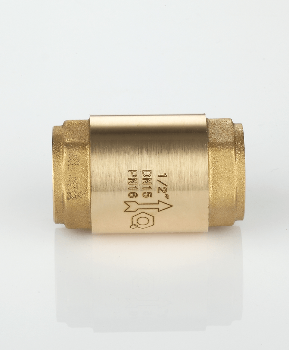 Check valve