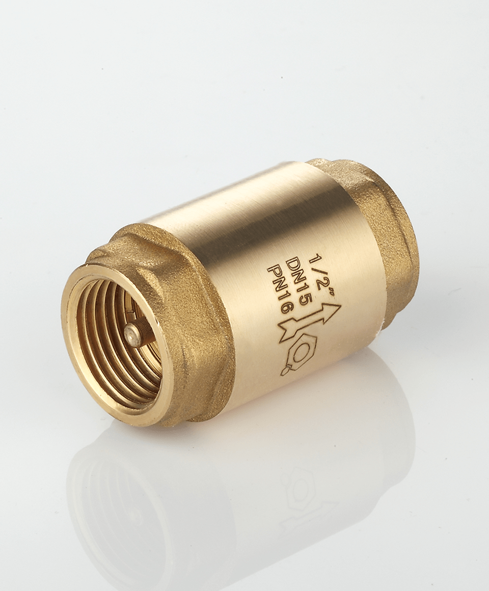 Check valve
