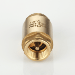 Check valve