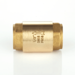 Check valve