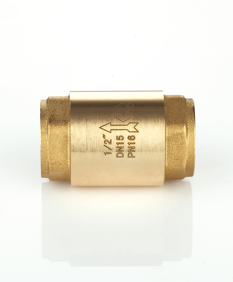Check valve