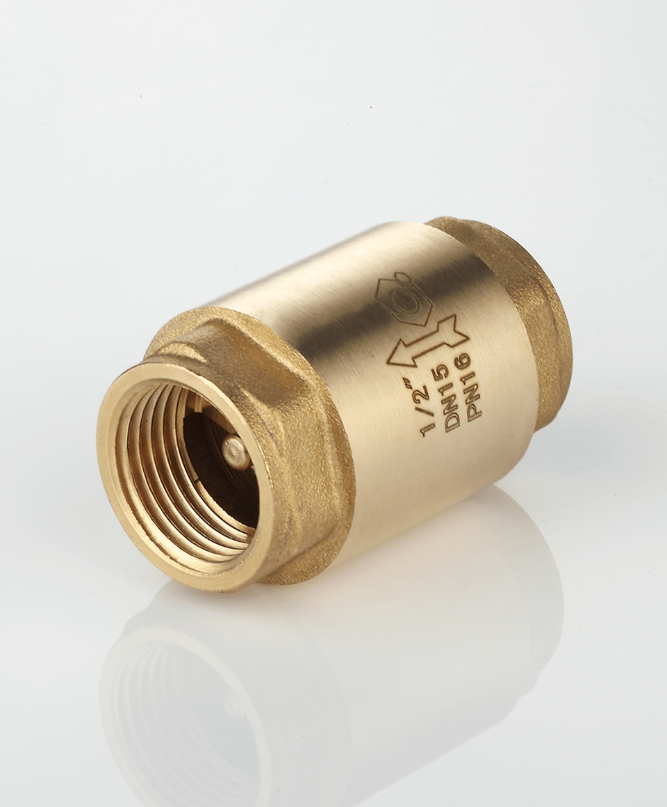 Check valve